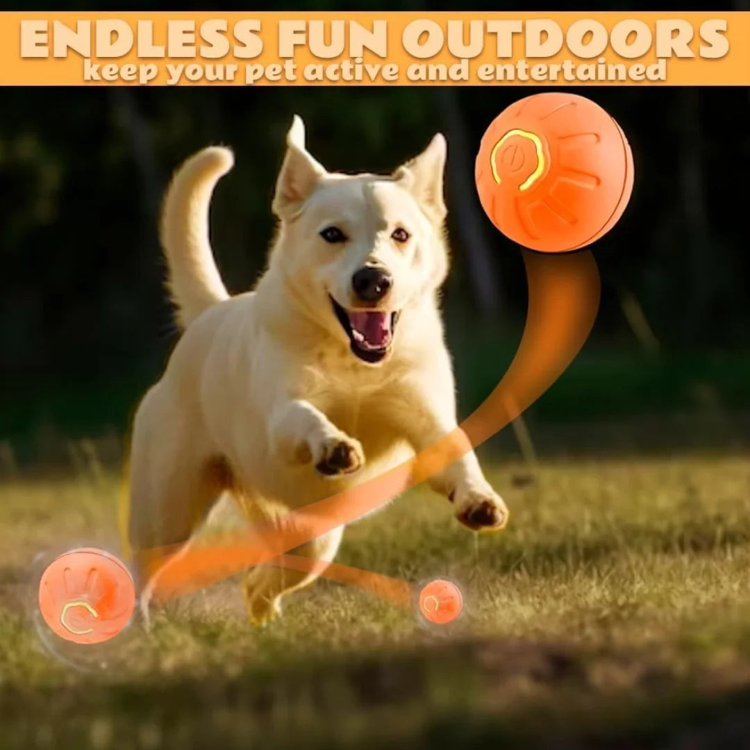 Smart Bouncing Pet Ball