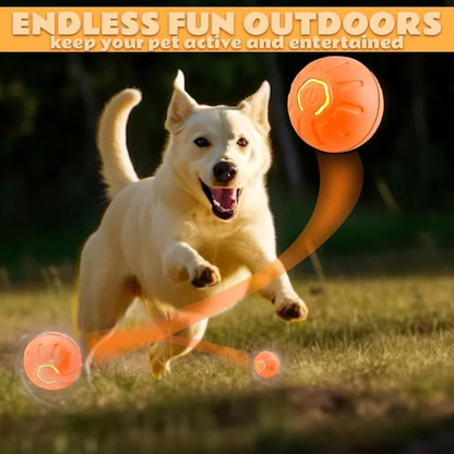 Smart Bouncing Pet Ball