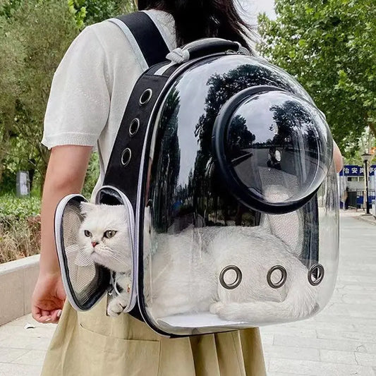 Pet Space Backpack