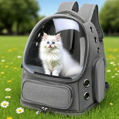 Transparent Pet Backpack