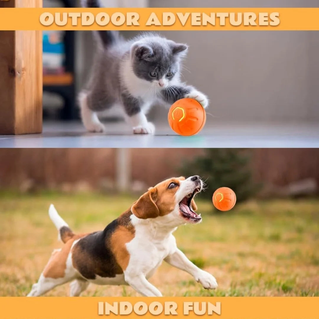 Smart Bouncing Pet Ball