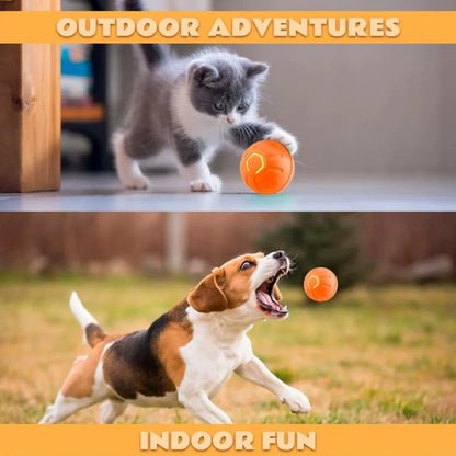 Smart Bouncing Pet Ball