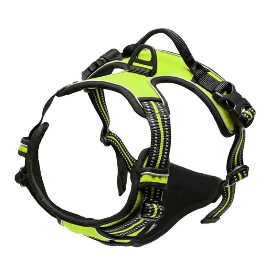 Dog Collar & Harness Set