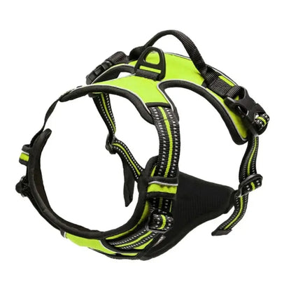 Dog Collar & Harness Set