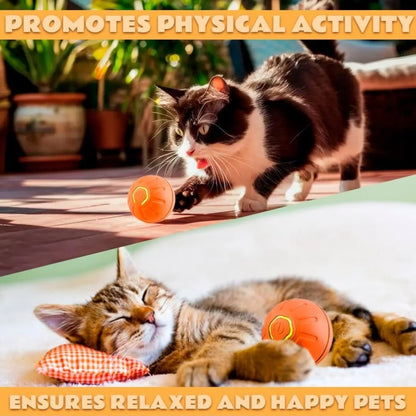 Smart Bouncing Pet Ball