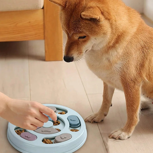 Dog Slow Feeder Toy