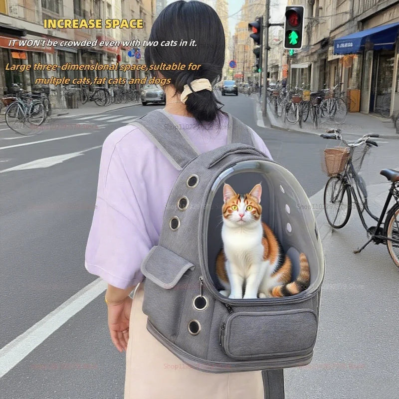 Transparent Pet Backpack
