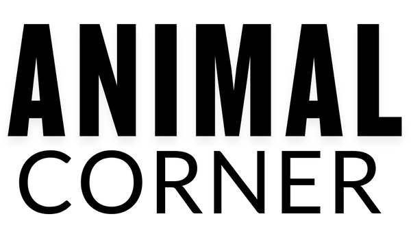 Animal Corner